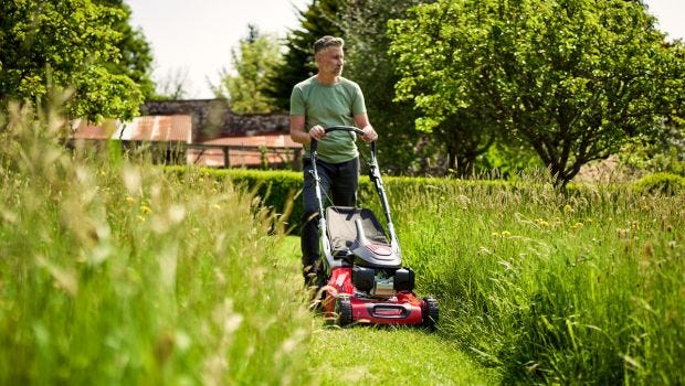 Petrol Lawnmowers