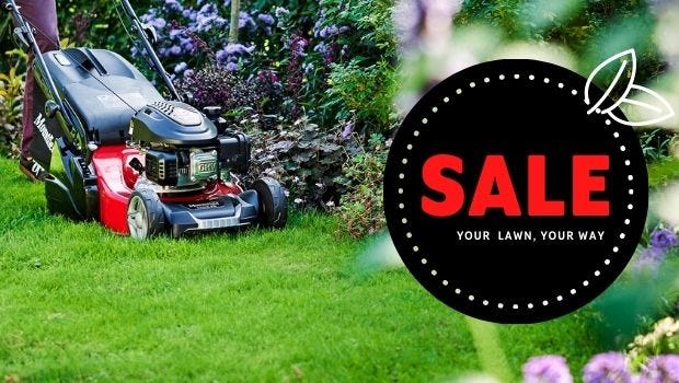 Sale Lawn Mowers and Garden Tools Mountfield Lawnmowers