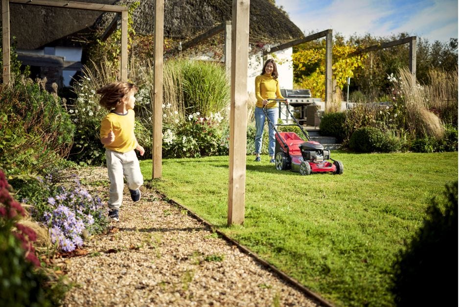 Petrol lawn mower SP53 Elite Mountfield