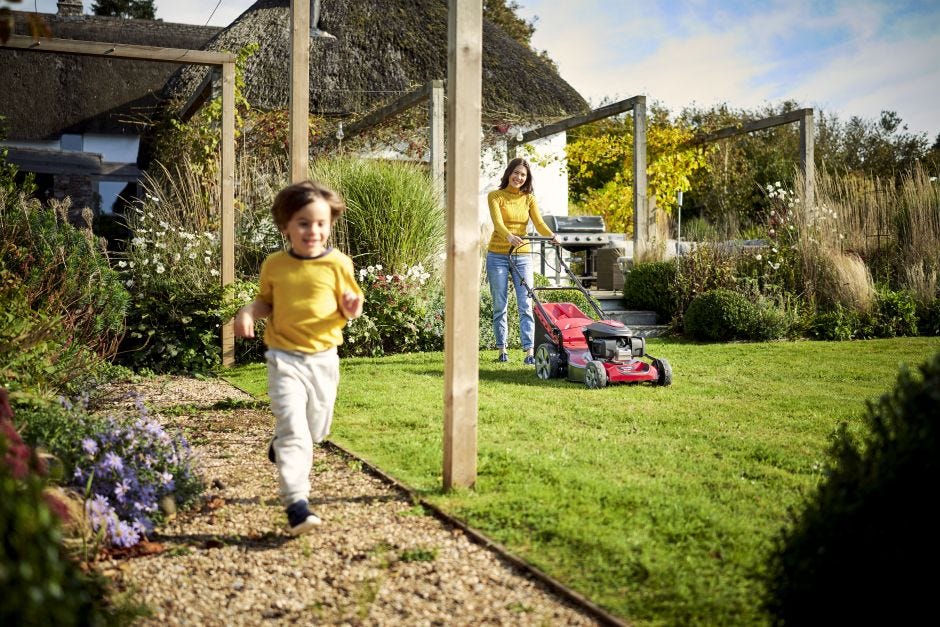 Mountfield sp53 elite best price top