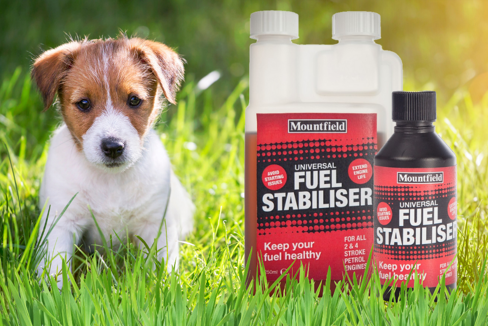 Unleaded petrol for lawn mower cheap