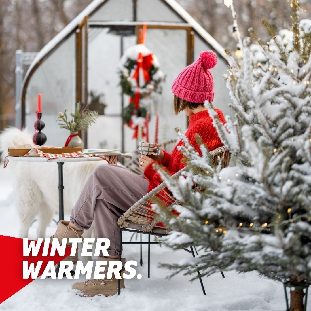 Winter picture in garden with Christmas tree and glass house